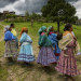 LUCHA CONTRA LA DISCRIMINACIÓN DE LOS PUEBLOS INDÍGENAS