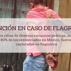Detención en caso de Flagrancia Detención en caso de Flagrancia