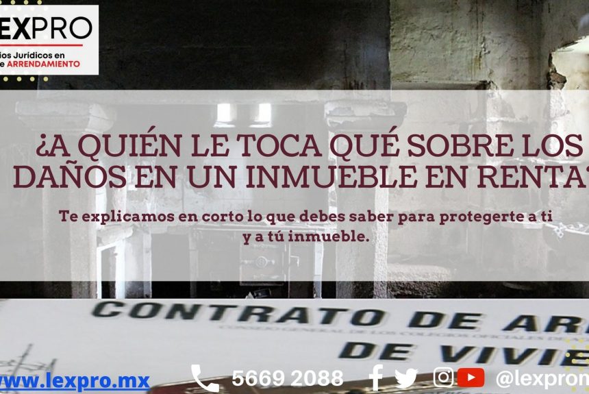 ¿A quién le toca qué sobre los daños en un inmueble en renta? ¿A quién le toca qué sobre los daños en un inmueble en renta?