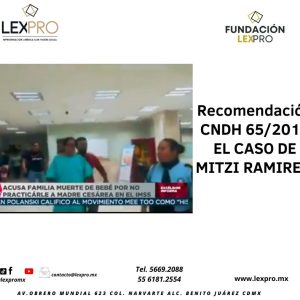 Recomendación CNDH 65/2018 Caso Mitzi Ramirez