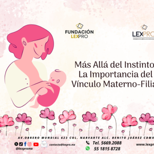Más Allá del Instinto: La Importancia del Vínculo Materno-Filial